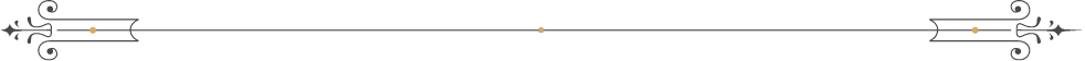 Decorative horizontal black line